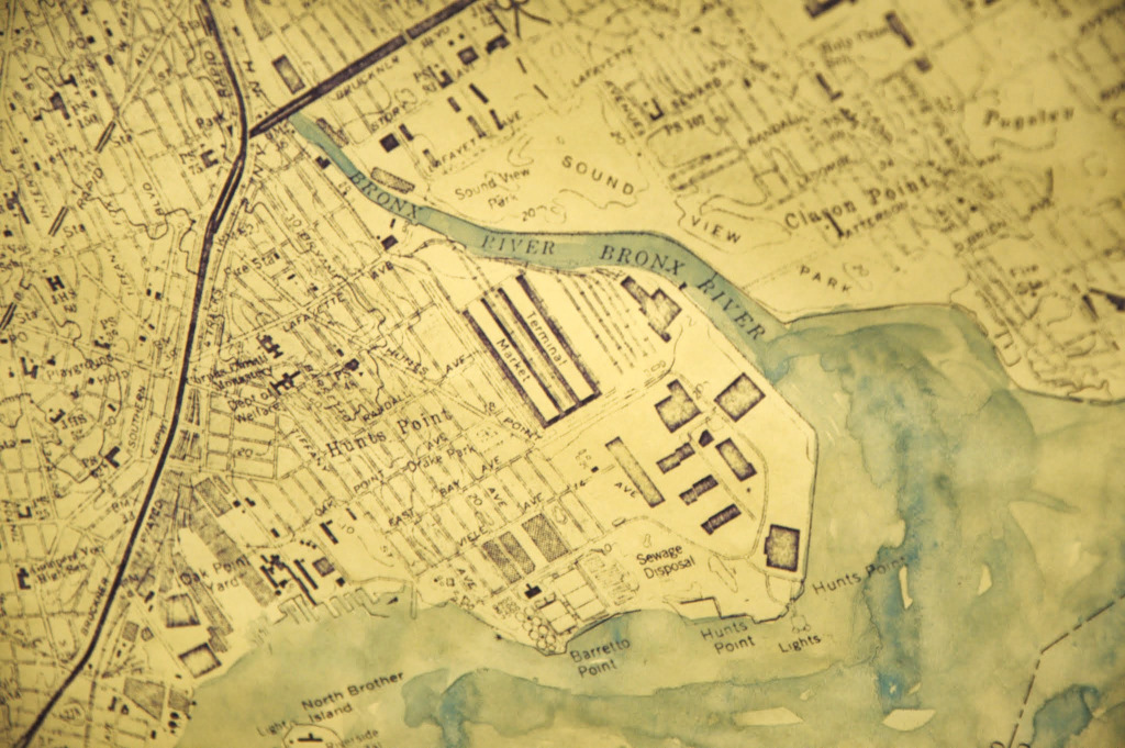 Process and Progress: The Bronx River