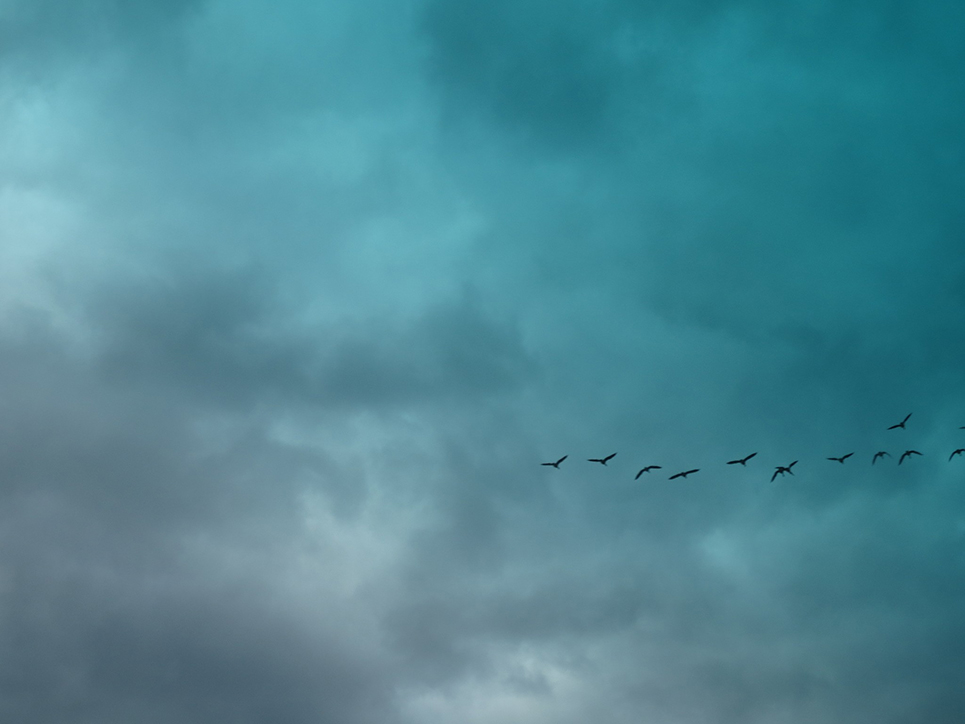 It’s not about you…