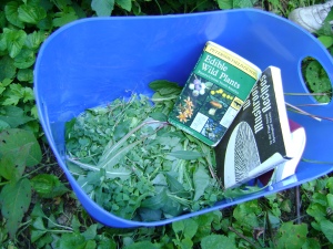 Love Thy Neighbor – East Harlem Community Supported Kitchen&nbsp;(CSK)