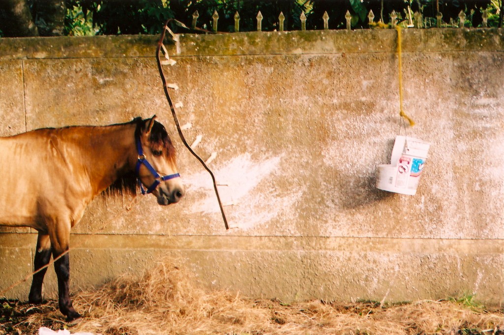 Mansiones de Todo Bien